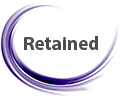 retained executive search icon